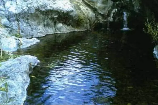 Image 1 thumb