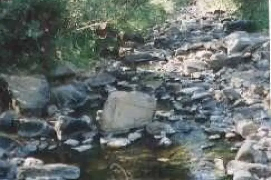 Image 8 thumb