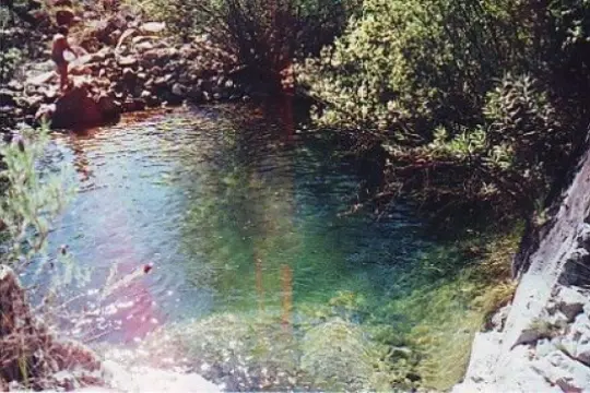 Image 12 thumb
