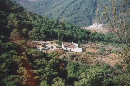 Image 13 thumb