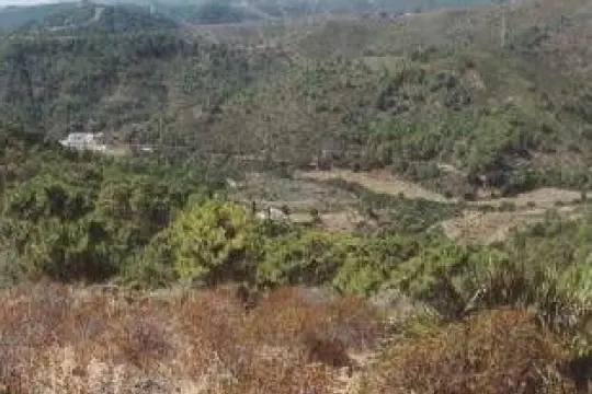 Image 15 thumb
