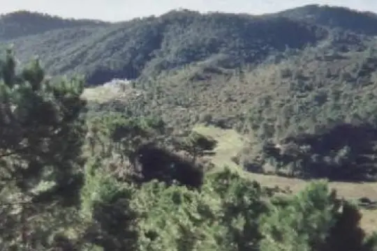 Image 18 thumb