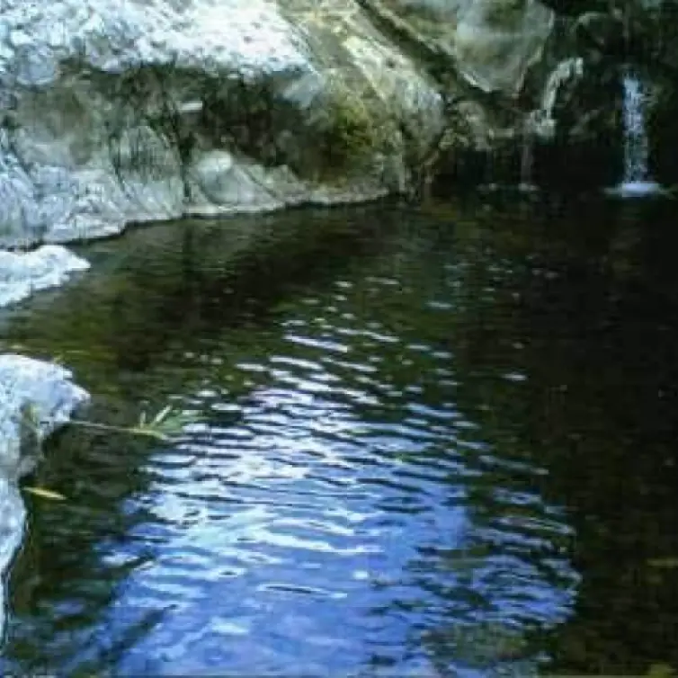 Venta de finca - cortijo en Estepona
