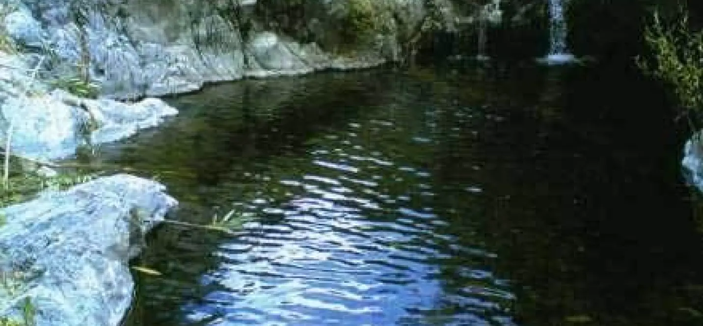 Venta de finca - cortijo en Estepona 0