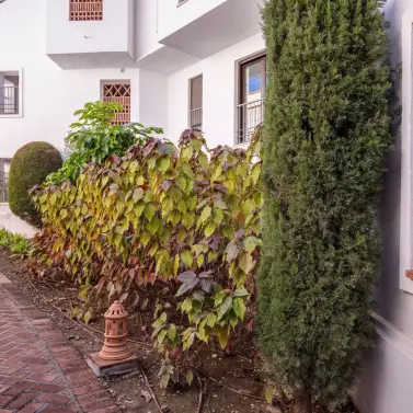 Venta de apartamento en planta baja en Los Arqueros