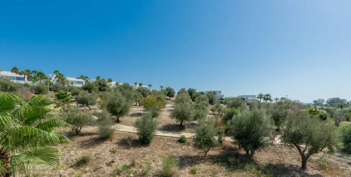 Долгосрочная аренда финки в Marbella 38