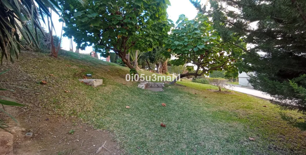 Sale of middle floor apartment in El Palo 39