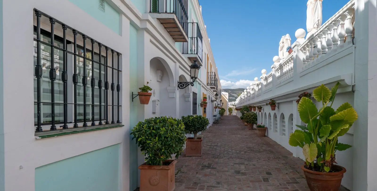 Sale of townhouse in Nueva Andalucía 6
