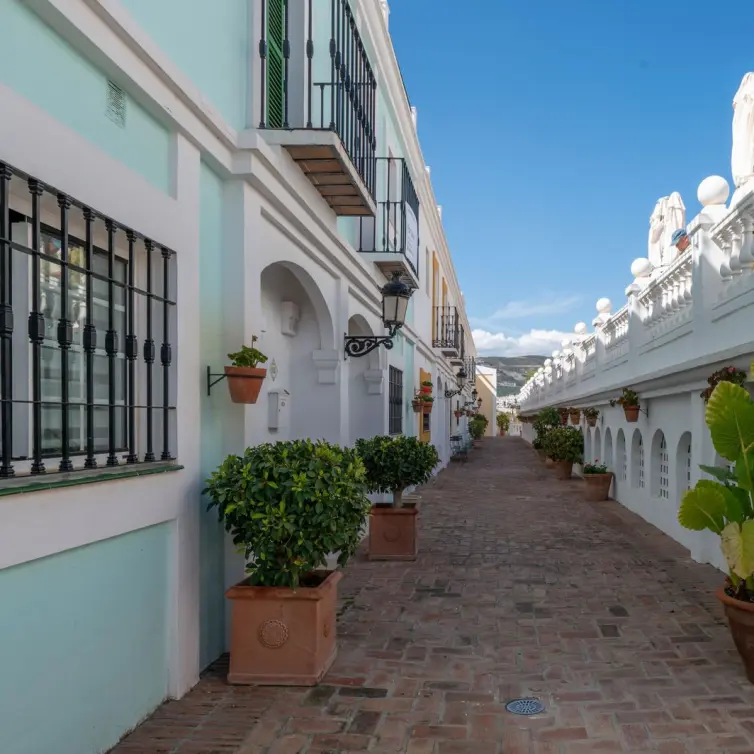 Sale of townhouse in Nueva Andalucía
