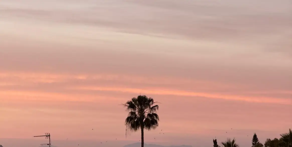 Краткосрочная аренда двухуровневого пентхауса в Estepona 26