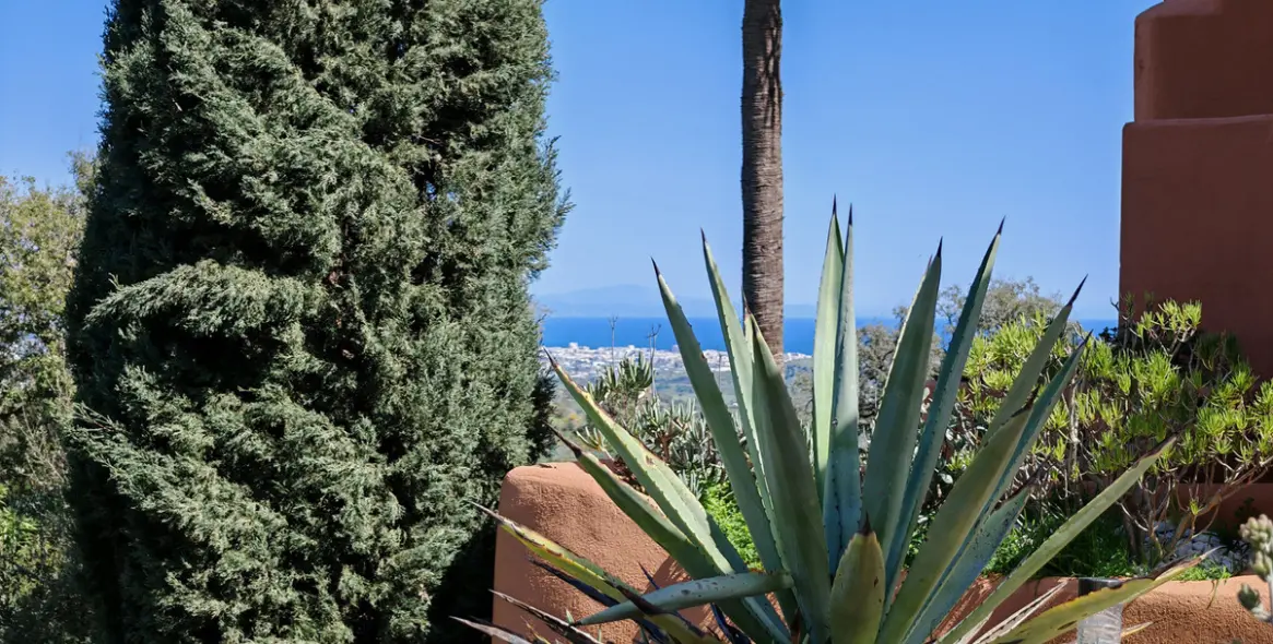 Sale of duplex in La Mairena 25