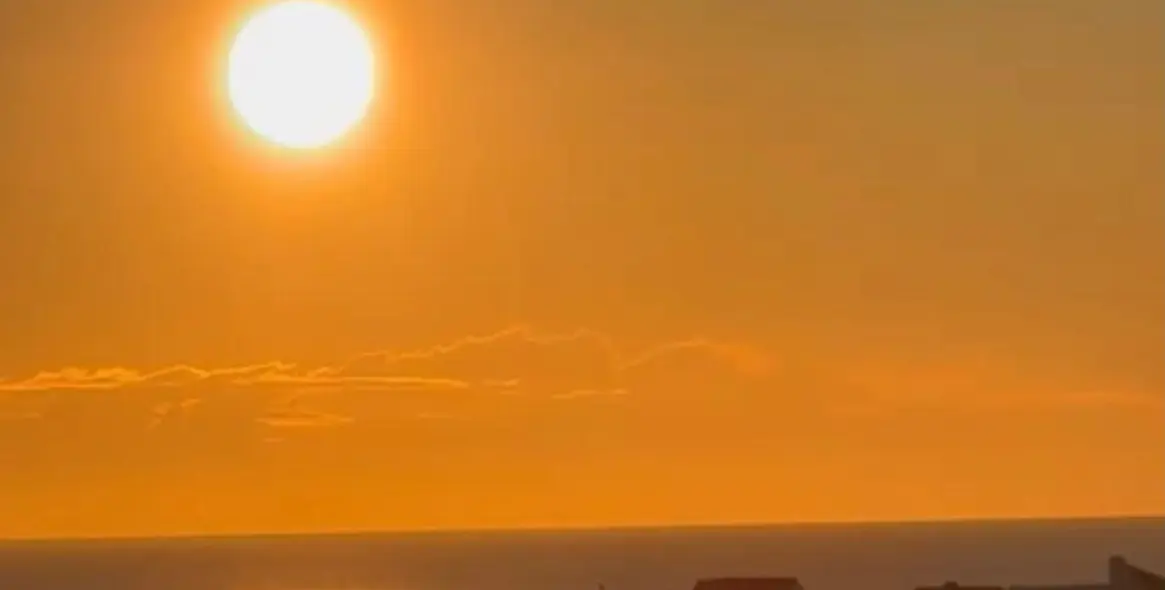 Sale of detached villa in Mijas Costa 55