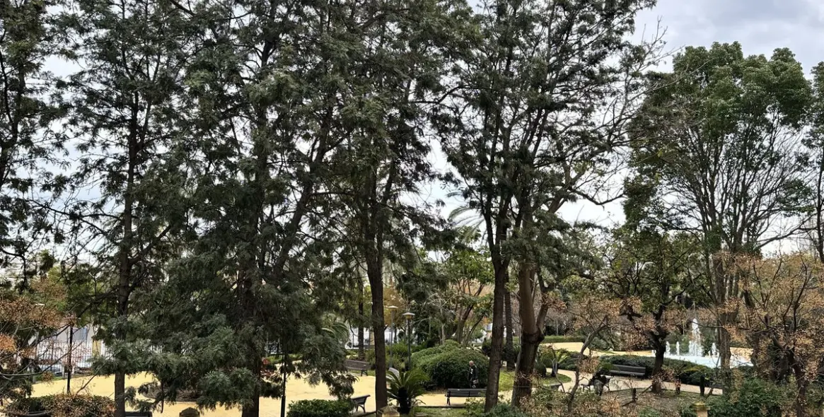 Продажа апартаментов на среднем этаже в Estepona 33