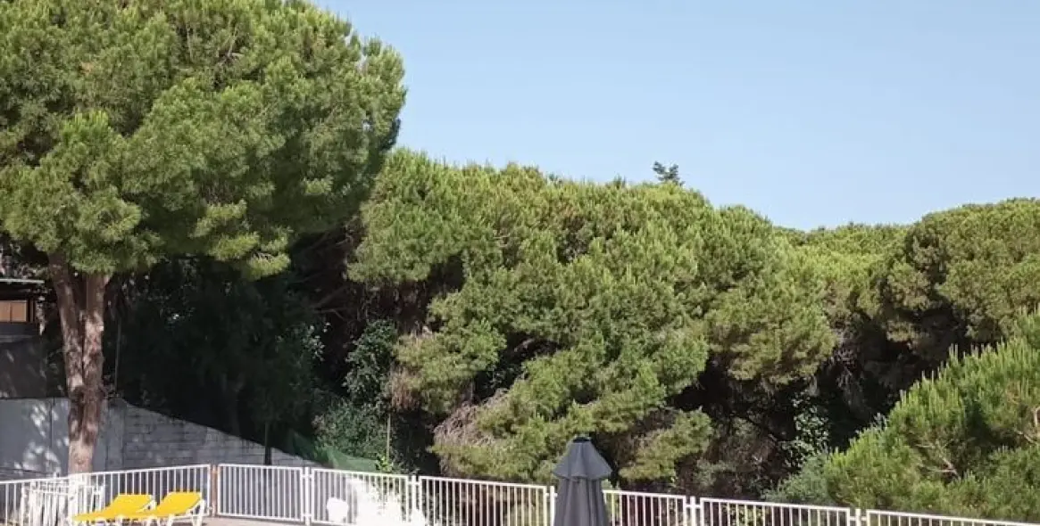 Продажа  отдельно стоящей виллы в Calahonda 37