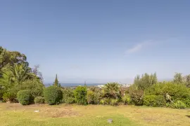 Image 6 thumb