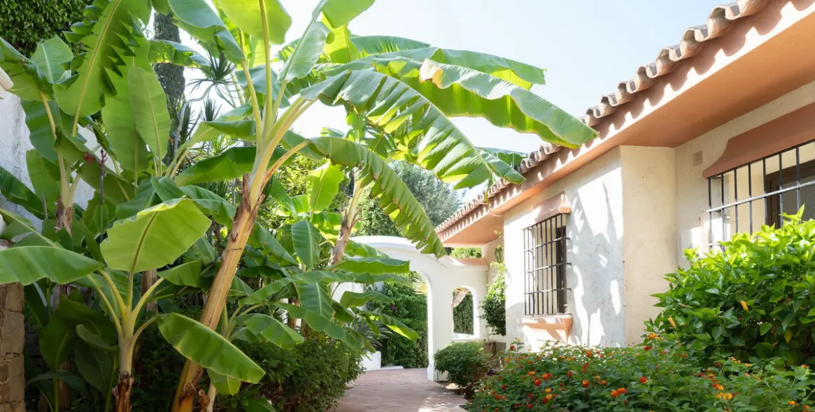 Sale of detached villa in El Rosario 27