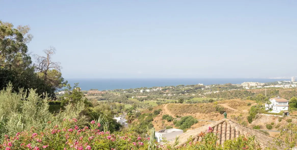 Sale of detached villa in El Rosario 29