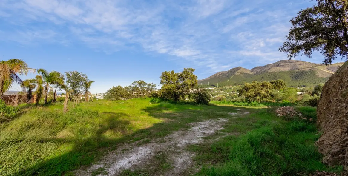 Sale of detached villa in Alhaurín el Grande 61