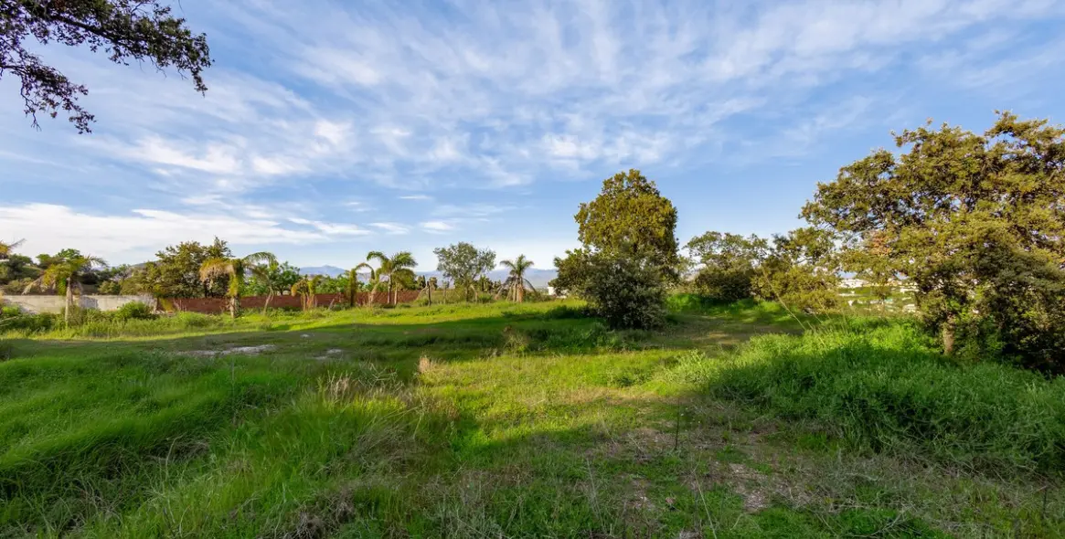 Sale of detached villa in Alhaurín el Grande 62