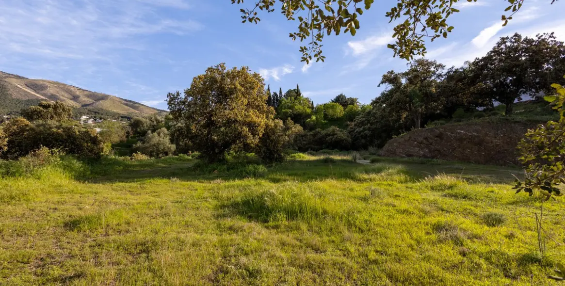 Sale of detached villa in Alhaurín el Grande 64