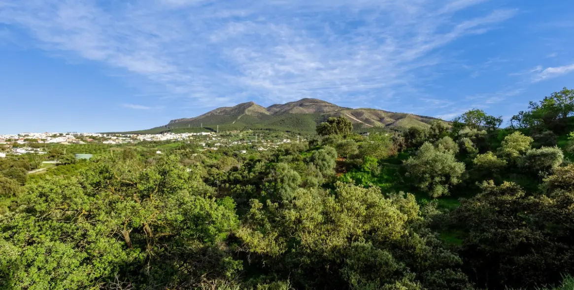 Sale of detached villa in Alhaurín el Grande 65