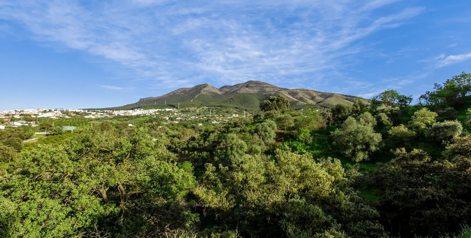 Venta de villa independiente en Alhaurín el Grande 65