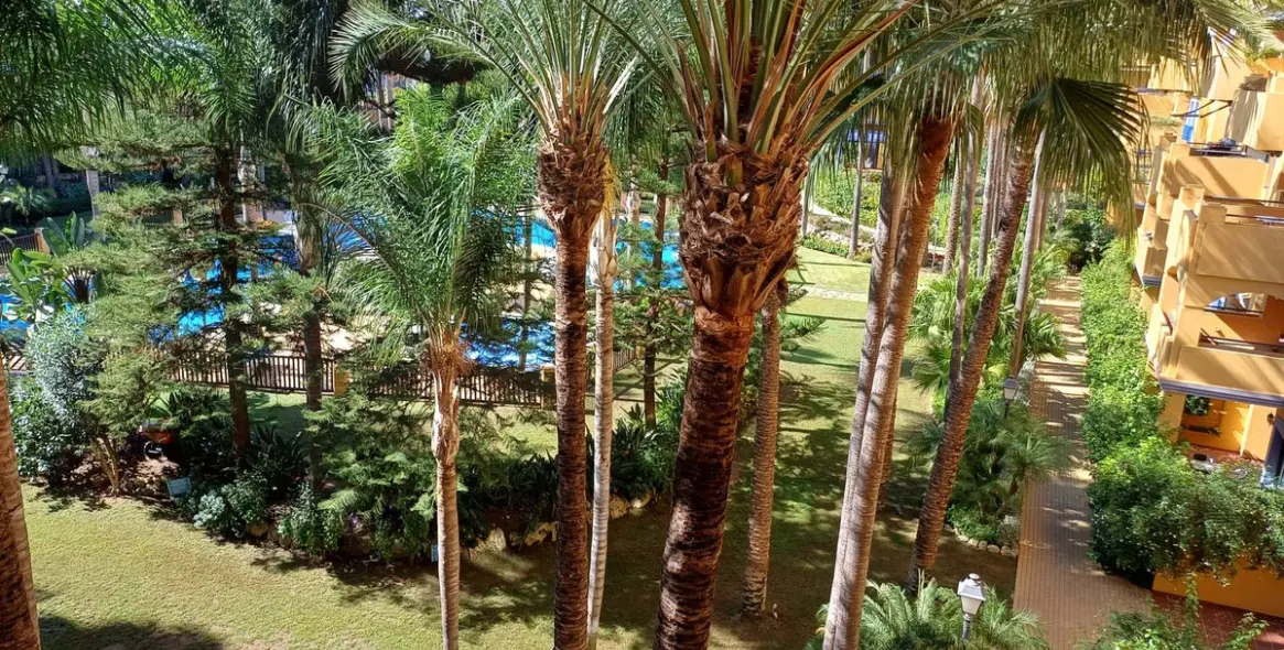 Долгосрочная аренда апартаментов на среднем этаже в San Pedro de Alcántara 1