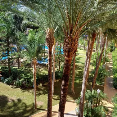 Alquiler a largo plazo de apartamento en planta media en San Pedro de Alcántara