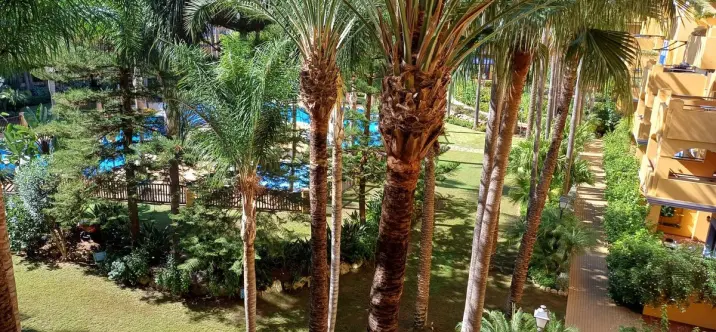 Alquiler a largo plazo de apartamento en planta media en San Pedro de Alcántara 0