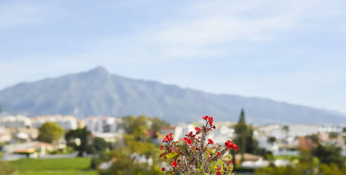 Alquiler a largo plazo de ático en Guadalmina Baja 18