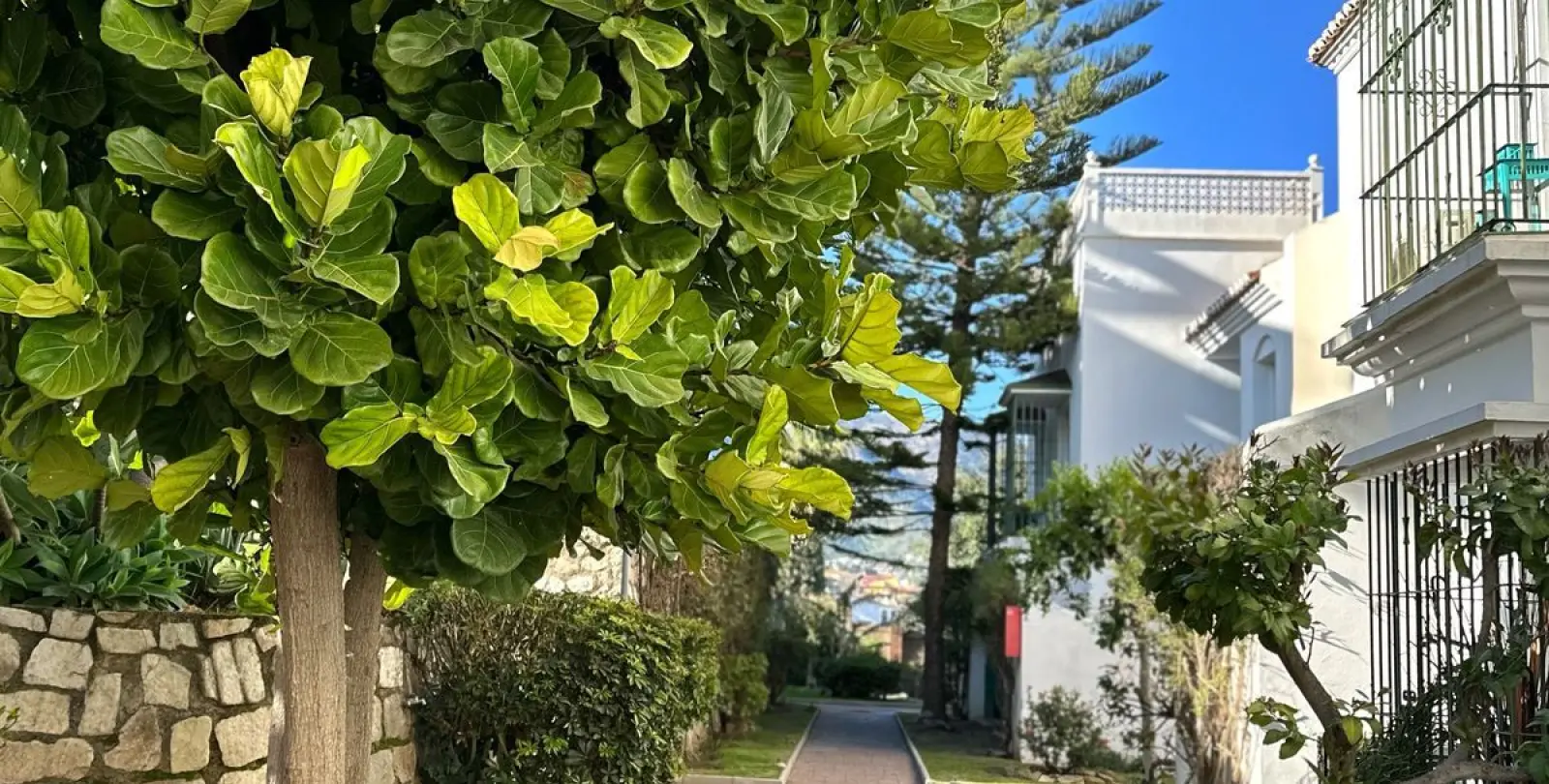 Sale of ground floor apartment in Fuengirola 24