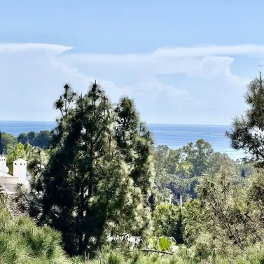 Sale of penthouse in Calahonda