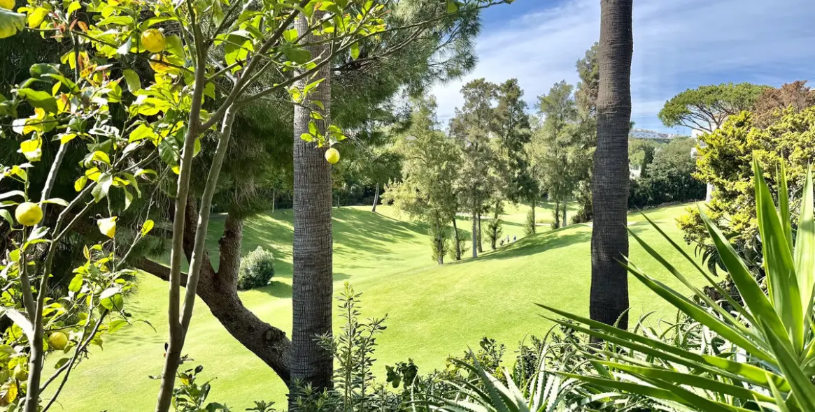 Sale of penthouse in Calahonda 7