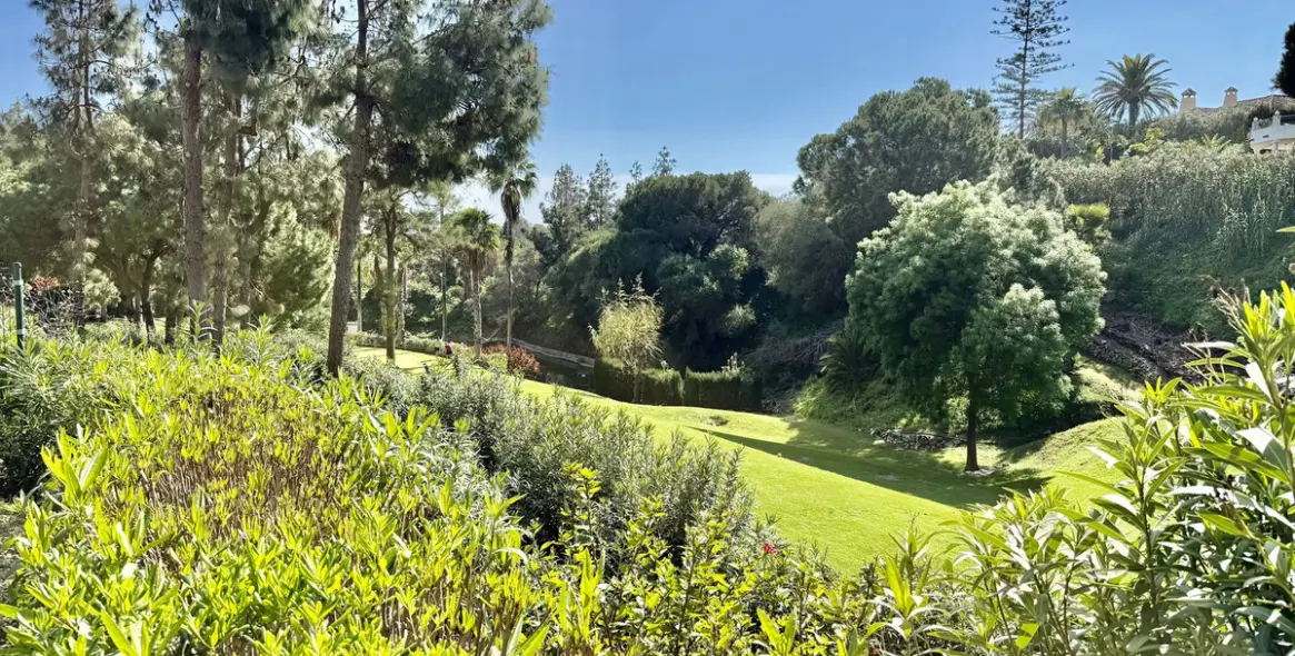 Sale of penthouse in Calahonda 8