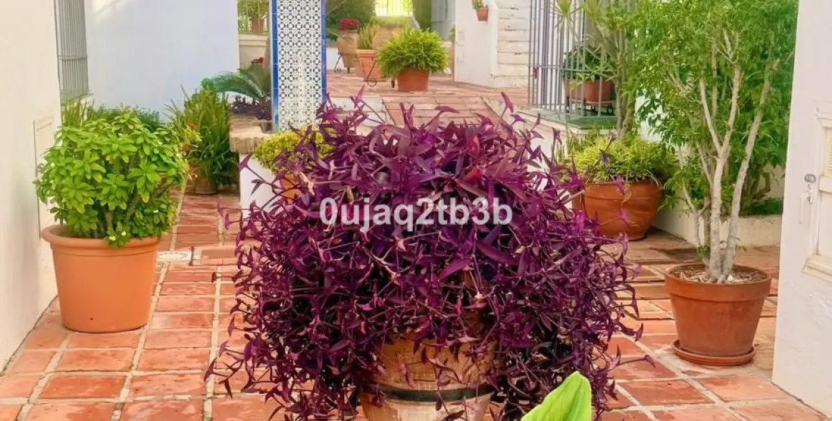 Продажа апартаментов на первом этаже в Nagüeles 26