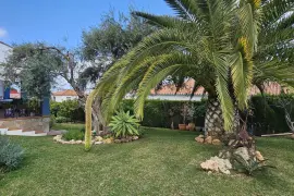 Image 6 thumb