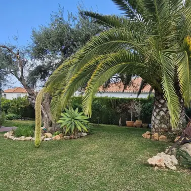 Sale of detached villa in Alhaurín de la Torre
