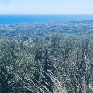 Sale of detached villa in Valtocado