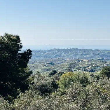 Sale of detached villa in Valtocado
