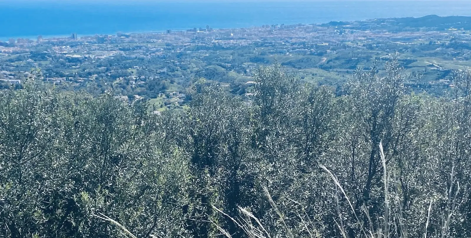 Sale of detached villa in Valtocado 2