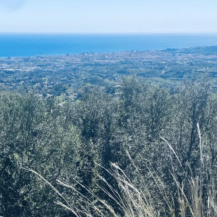 Venta de villa independiente en Valtocado