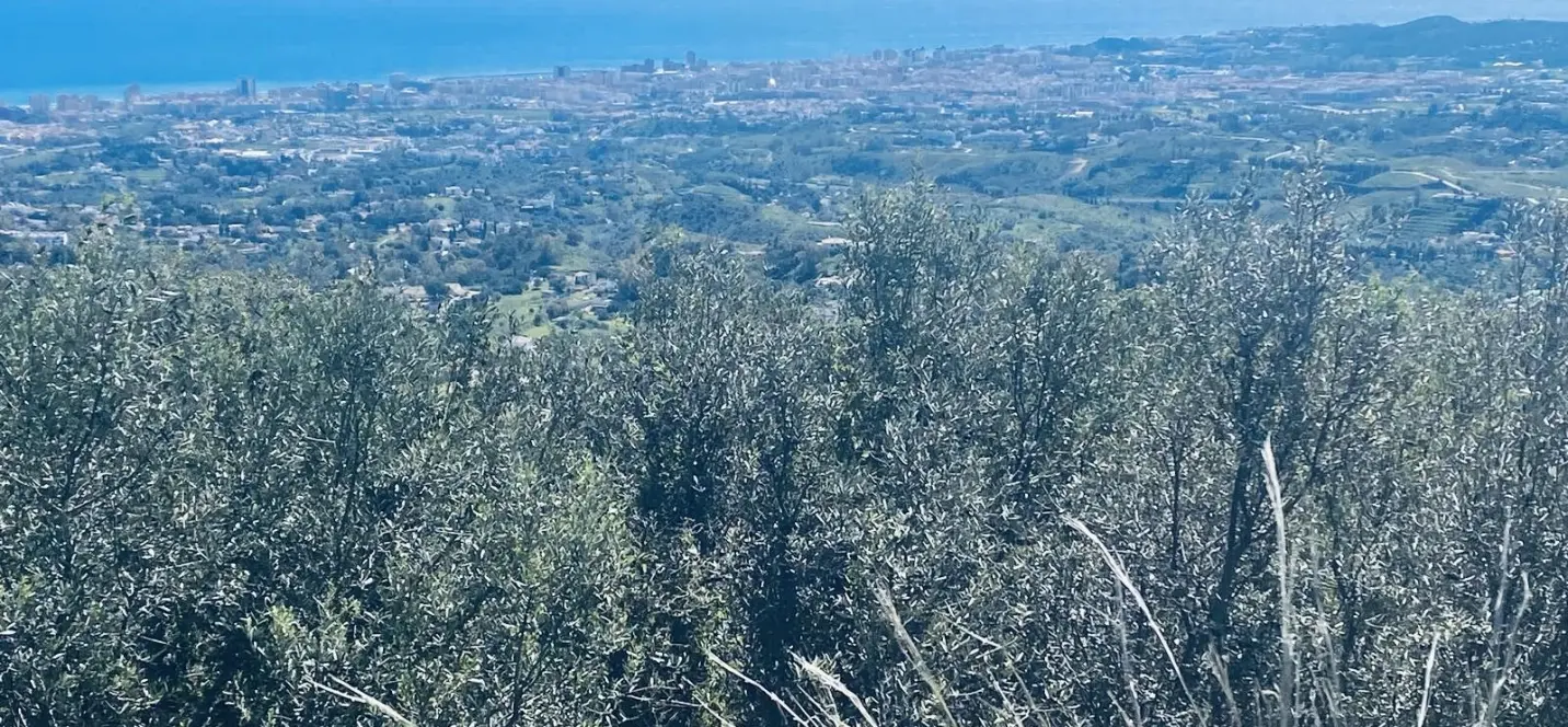 Venta de villa independiente en Valtocado 1