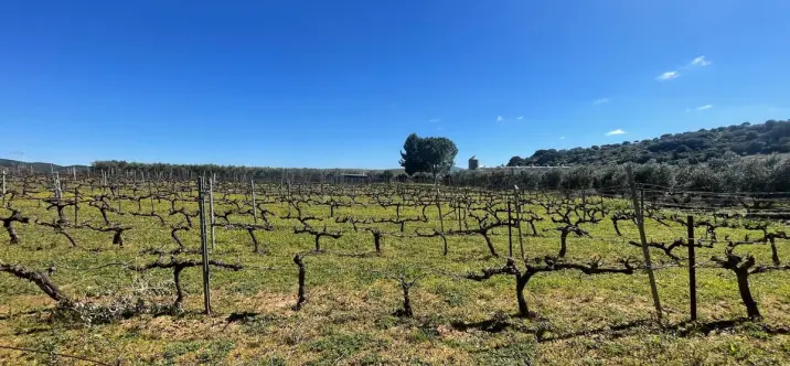 Sale of business in Almargen 1