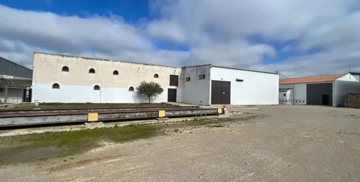 Sale of business in Almargen 3