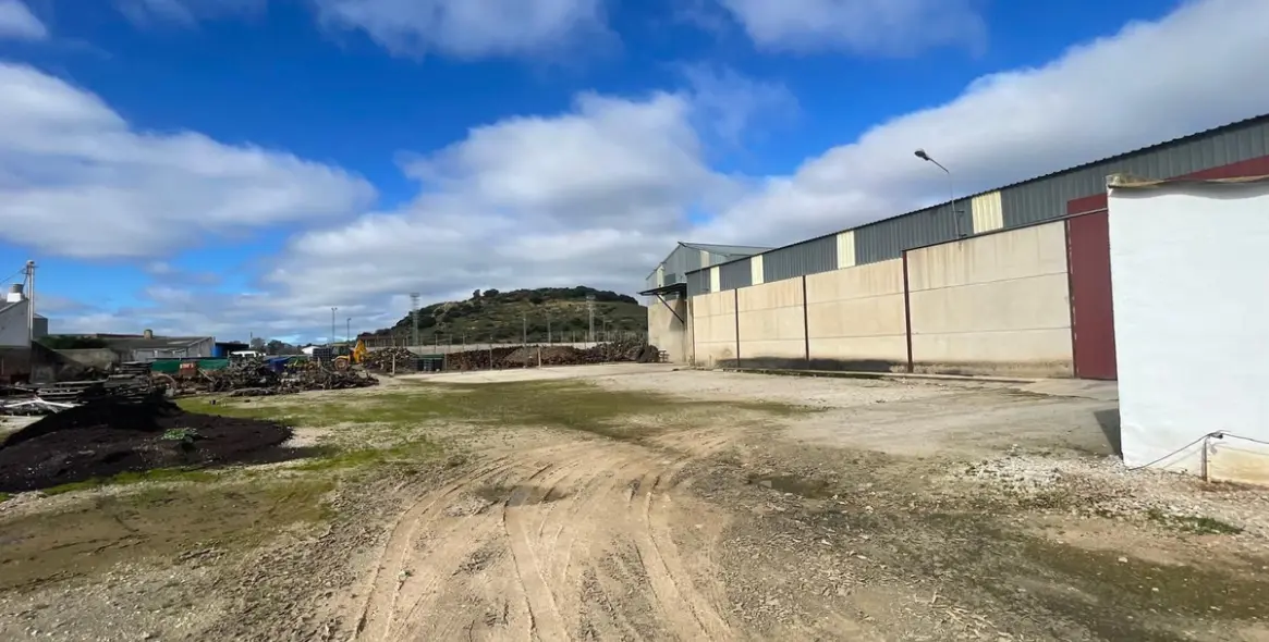 Sale of business in Almargen 4