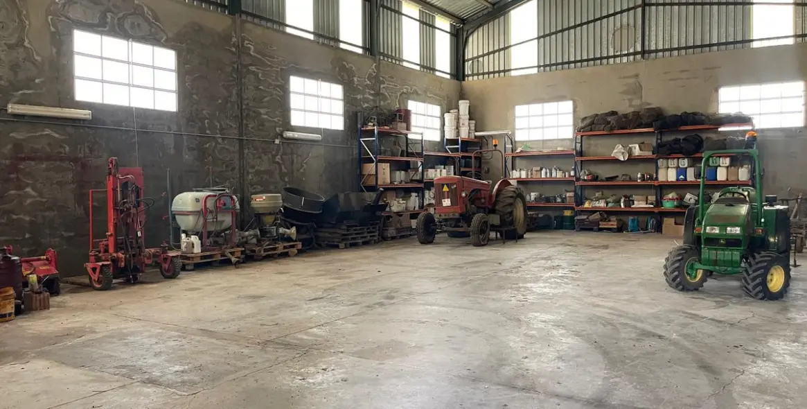 Sale of business in Almargen 5