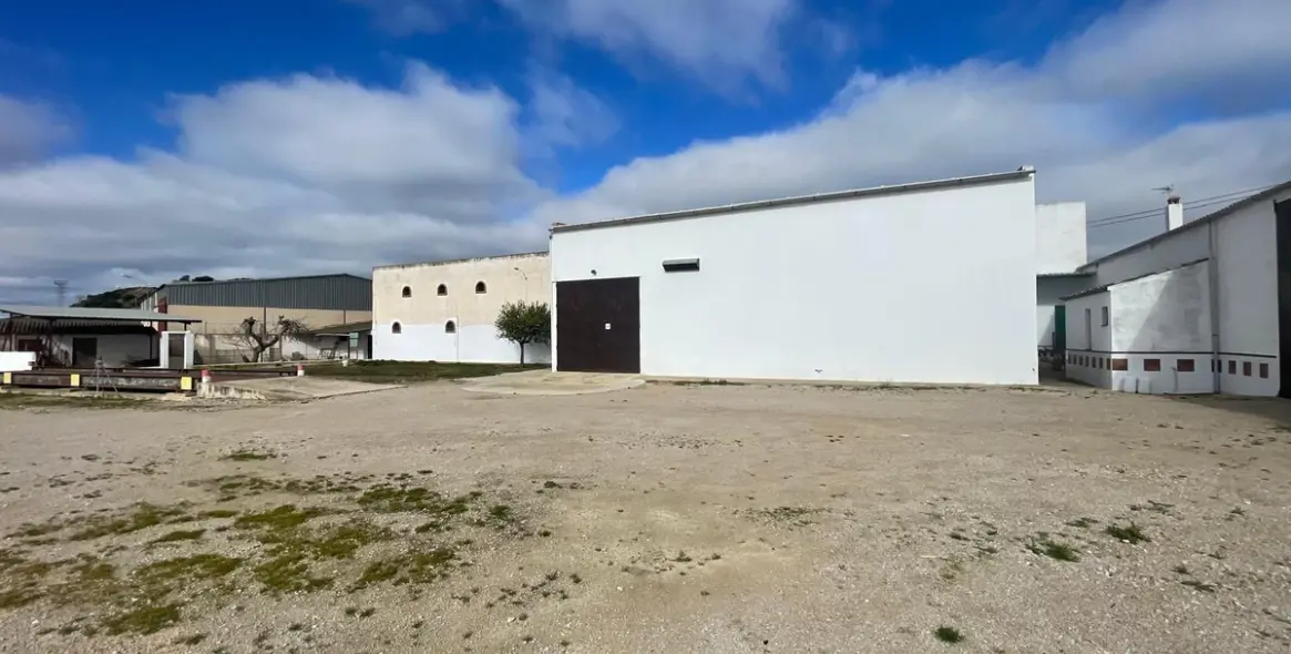 Sale of business in Almargen 6