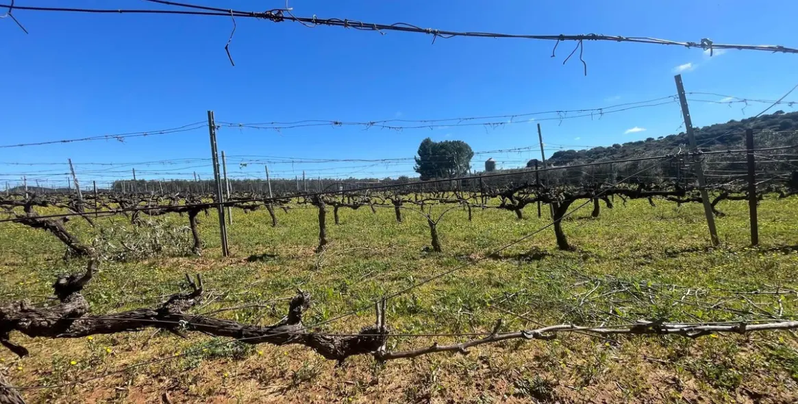 Sale of business in Almargen 28