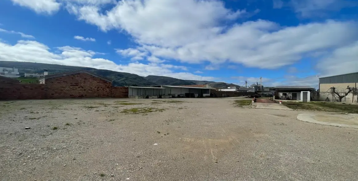 Sale of business in Almargen 33