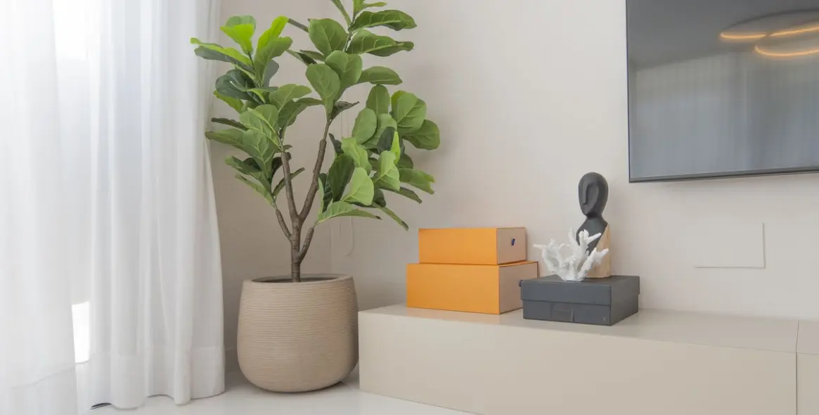 Долгосрочная аренда апартаментов на среднем этаже в Estepona 24